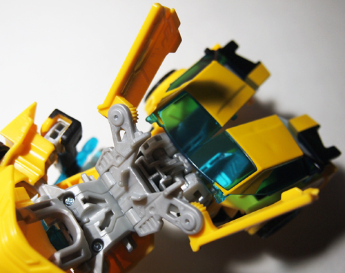 bee02.jpg