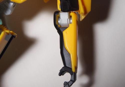 bee03.jpg