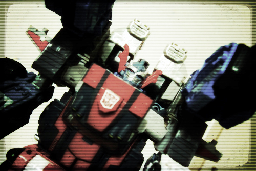 magna01.jpg
