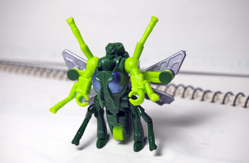 wasp01.jpg